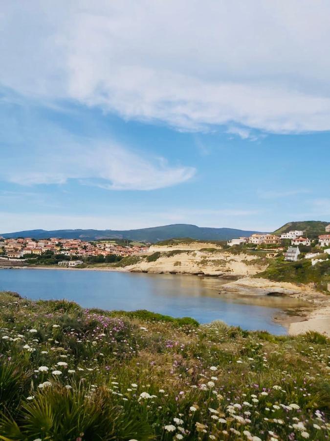 House Gallery Sardinia -Il Sogno- 库列里 外观 照片
