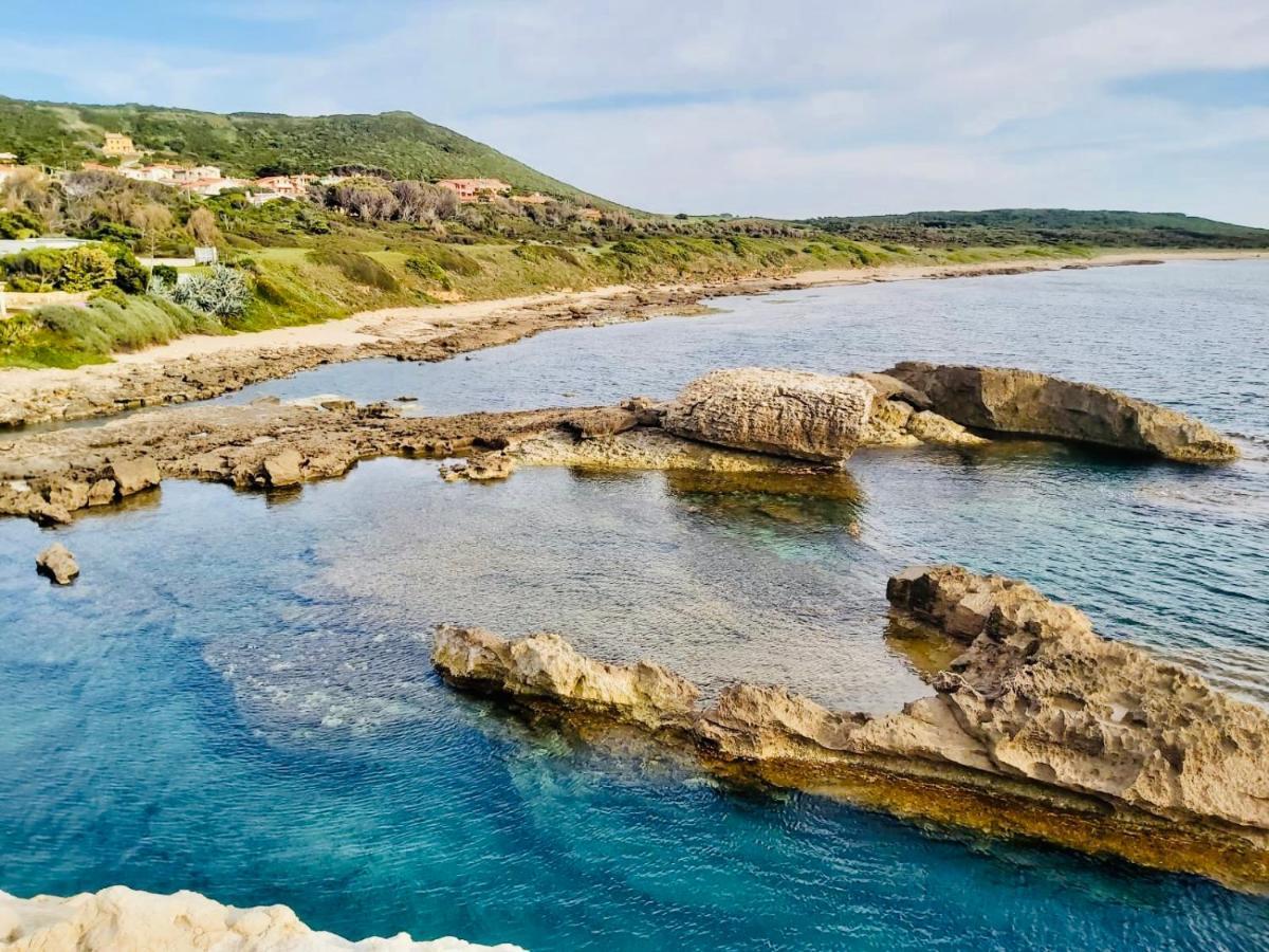 House Gallery Sardinia -Il Sogno- 库列里 外观 照片