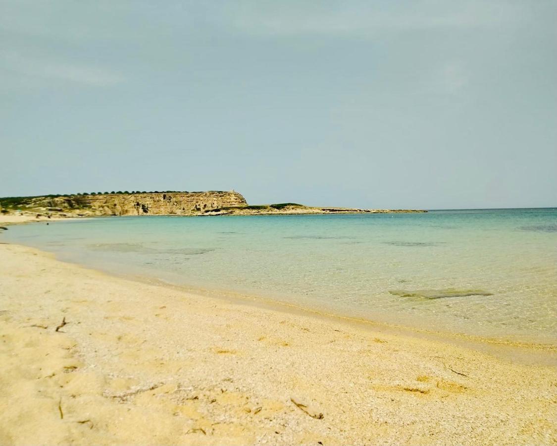 House Gallery Sardinia -Il Sogno- 库列里 外观 照片