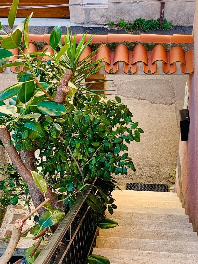 House Gallery Sardinia -Il Sogno- 库列里 外观 照片
